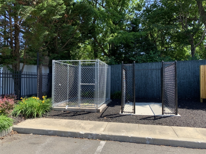 Chain Link Dog Kennels